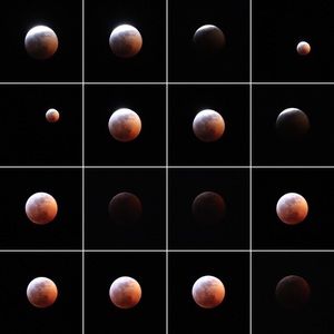 Meet your Posher, Aven